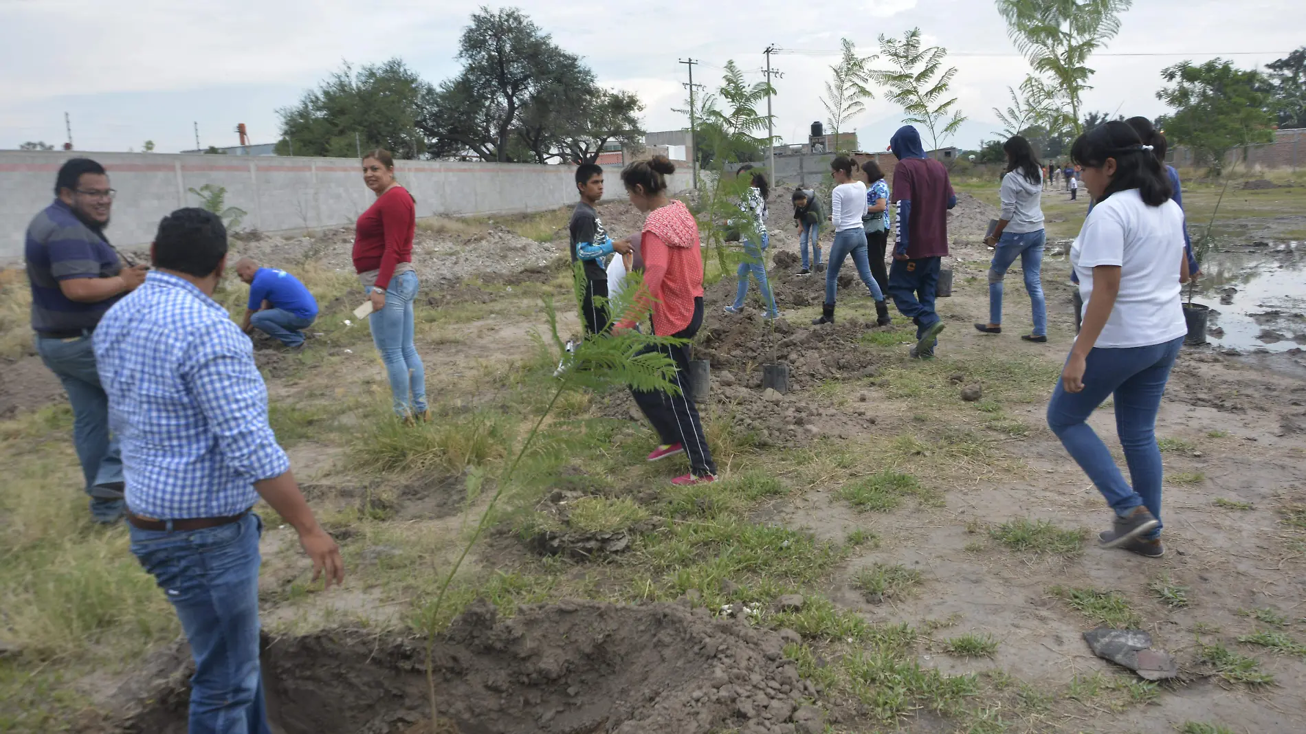 plantando un arbol (15) ok